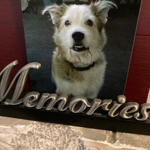 Meet your Posher, Constance